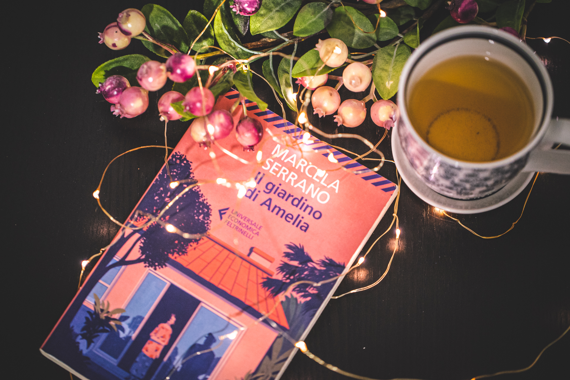 Recensione de Il giardino di Amelia - Marcela Serrano